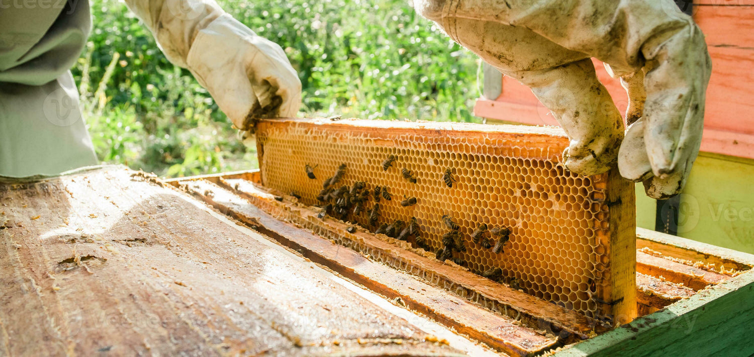 Bee Keeping