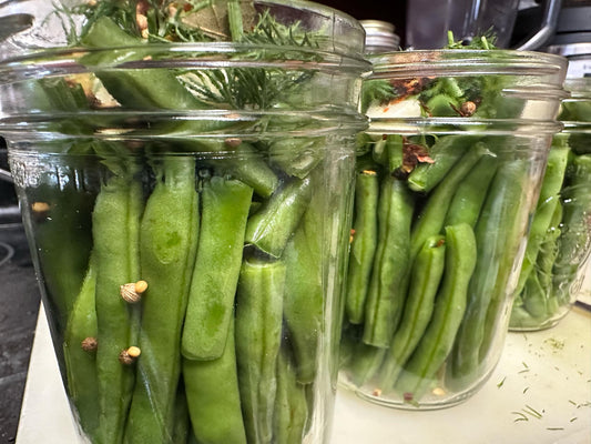 Pickled Dilly Beans
