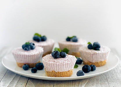 Wild Blueberry Cheesecake Dip Mix