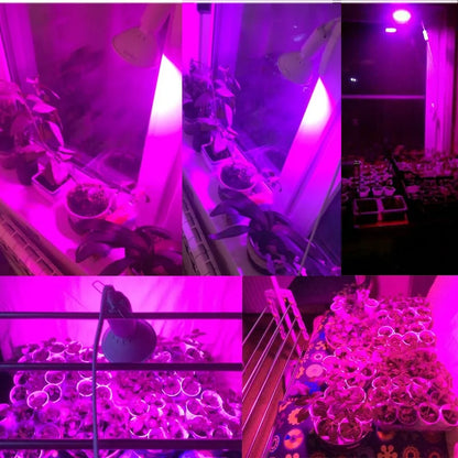 Full spectrum Plant Grow Led Light