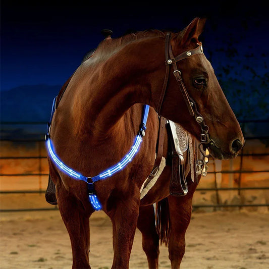 Dual LED Horse Harness