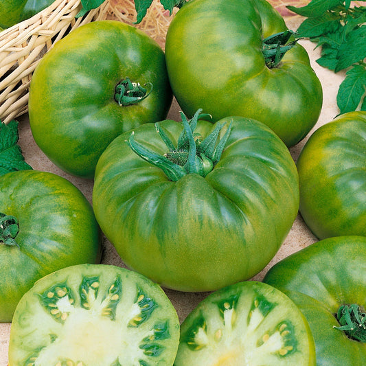 Tomatoes