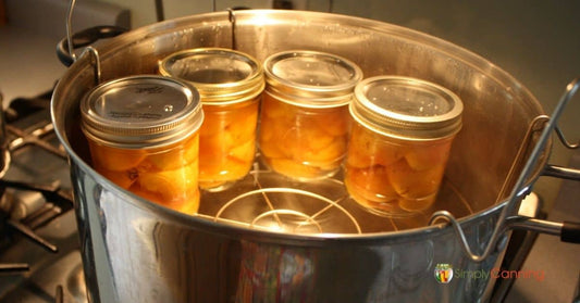 jelly Canning Class 2026